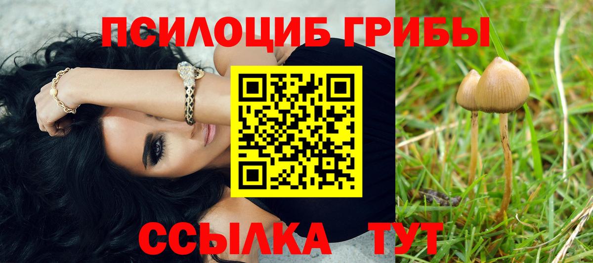 Галлюциногенные грибы GOLDEN TEACHER  Вход с VPN  Омск 